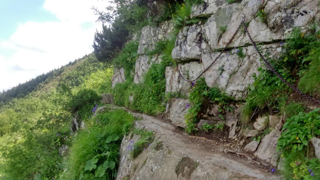 Agroturystyka Lesny Zakatek Stryszawa Exteriér fotografie