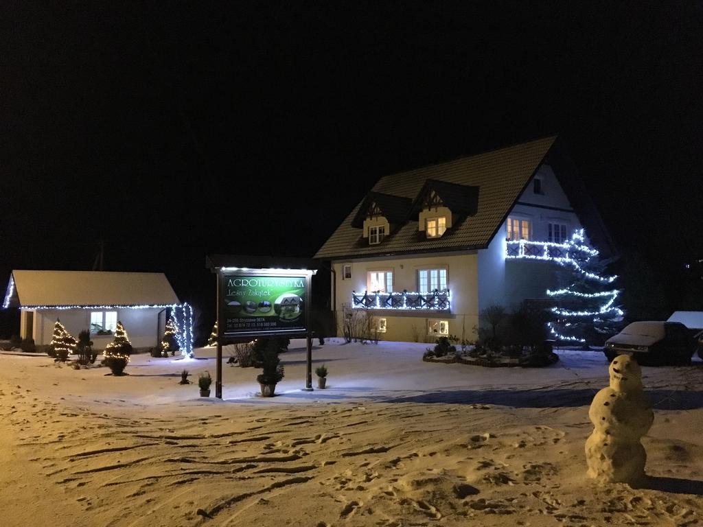 Agroturystyka Lesny Zakatek Stryszawa Exteriér fotografie