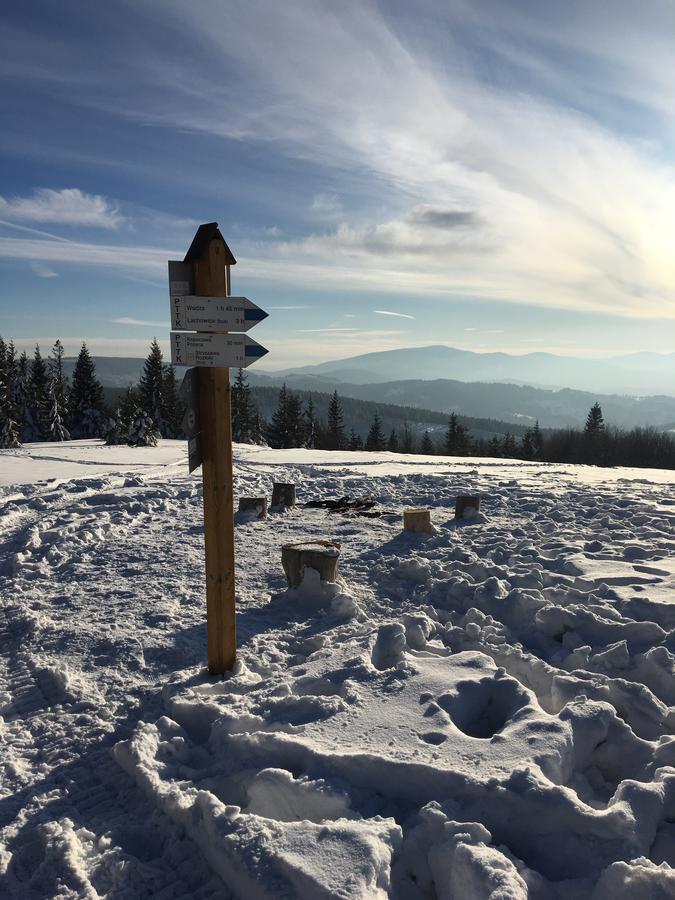Agroturystyka Lesny Zakatek Stryszawa Exteriér fotografie